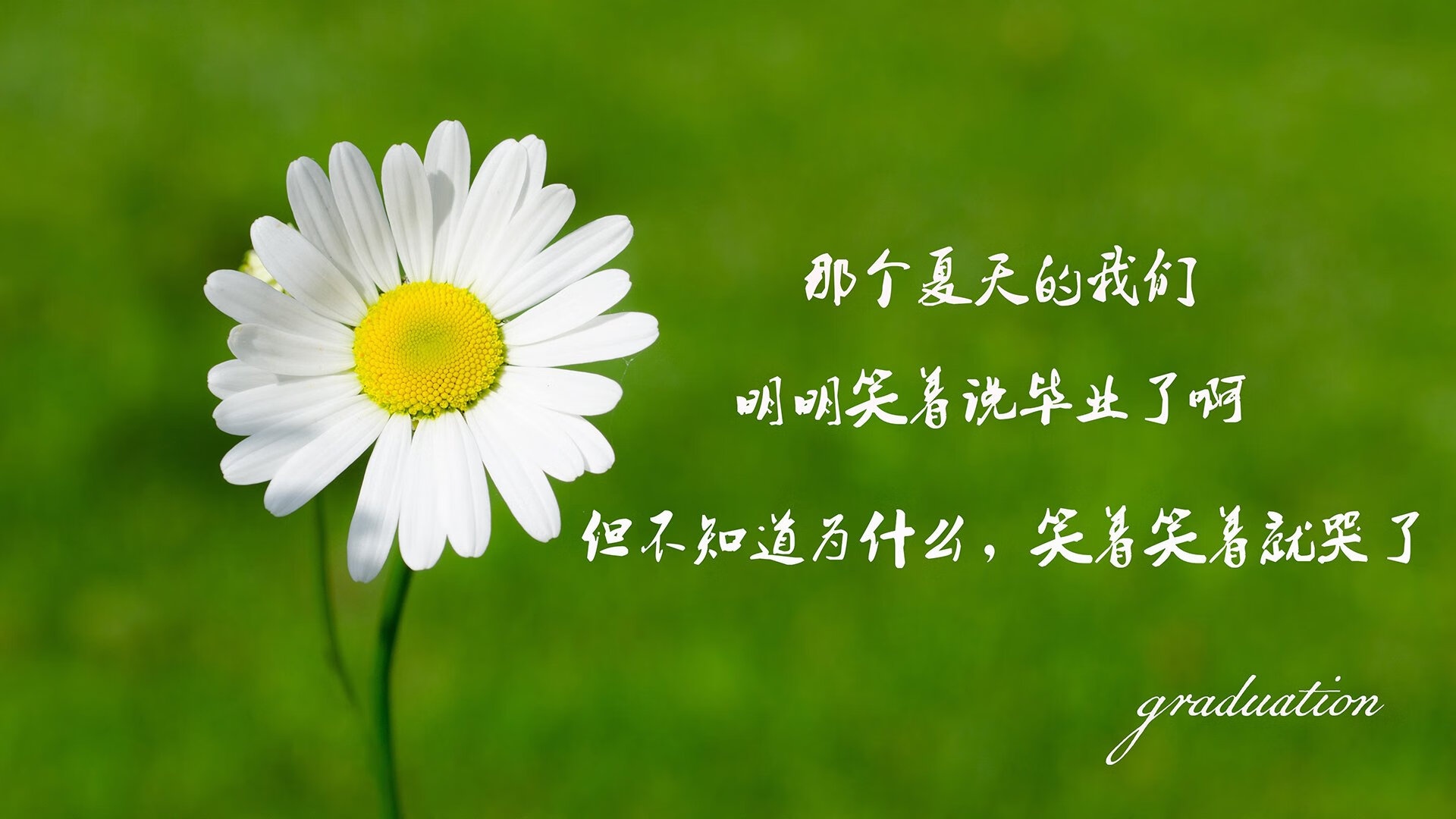 体育场馆安全应急预案,体育场馆安全事项清单