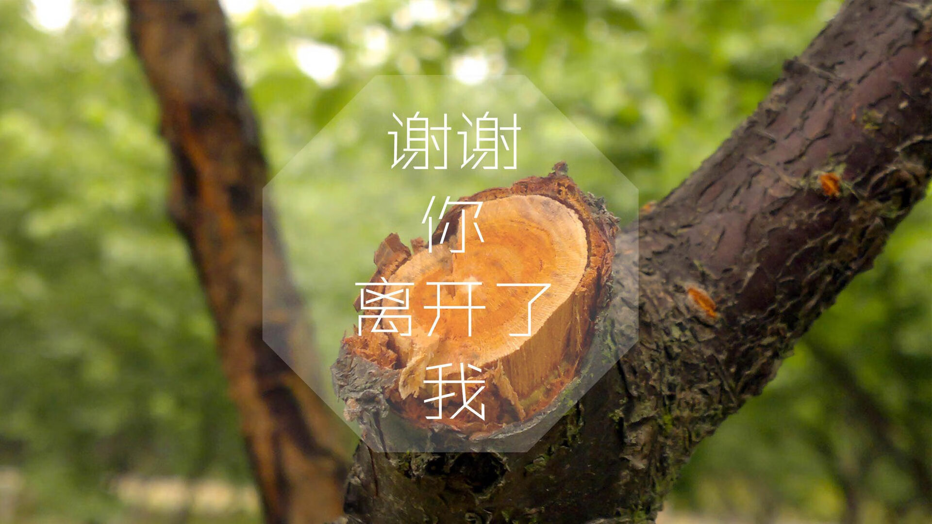 五大联赛是否更偏好使用反向跑位制造射门空间,五大联赛射门次数榜