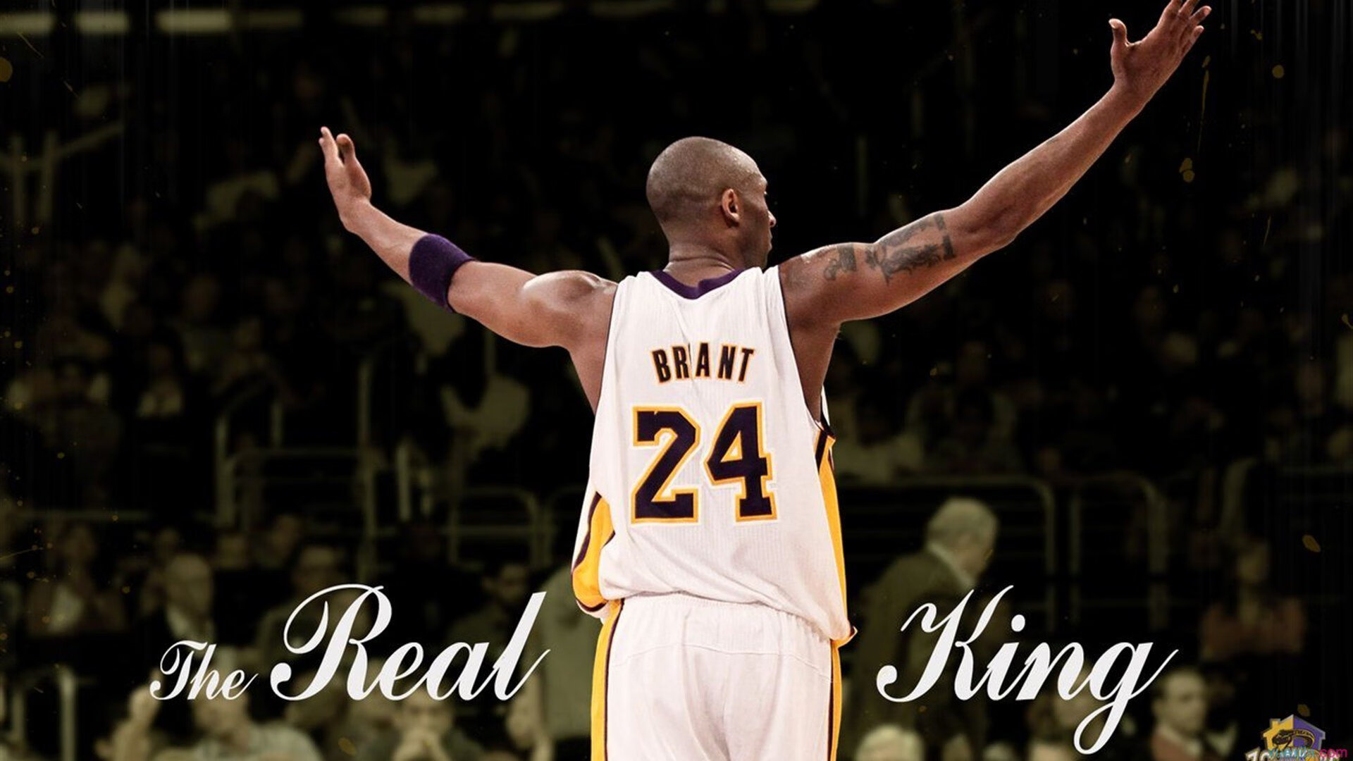 九游娱乐官网入口-产业链革新：技术与市场的共振，产业链到底是什么